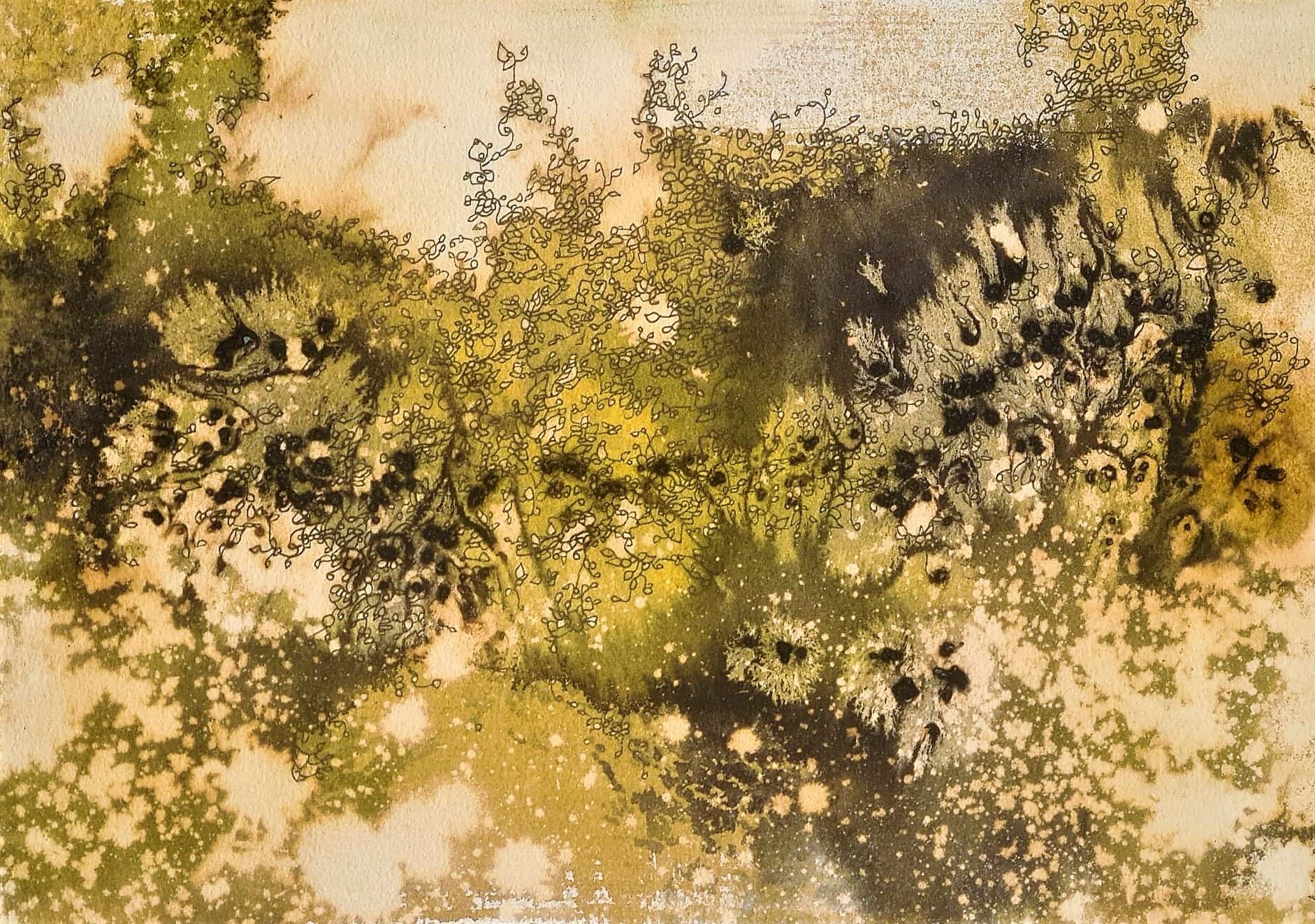 Catherine Desailes